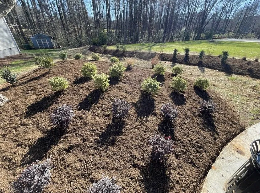 Top-rated residential landscaping experts serving Lancaster, SC - 3B Patios and More