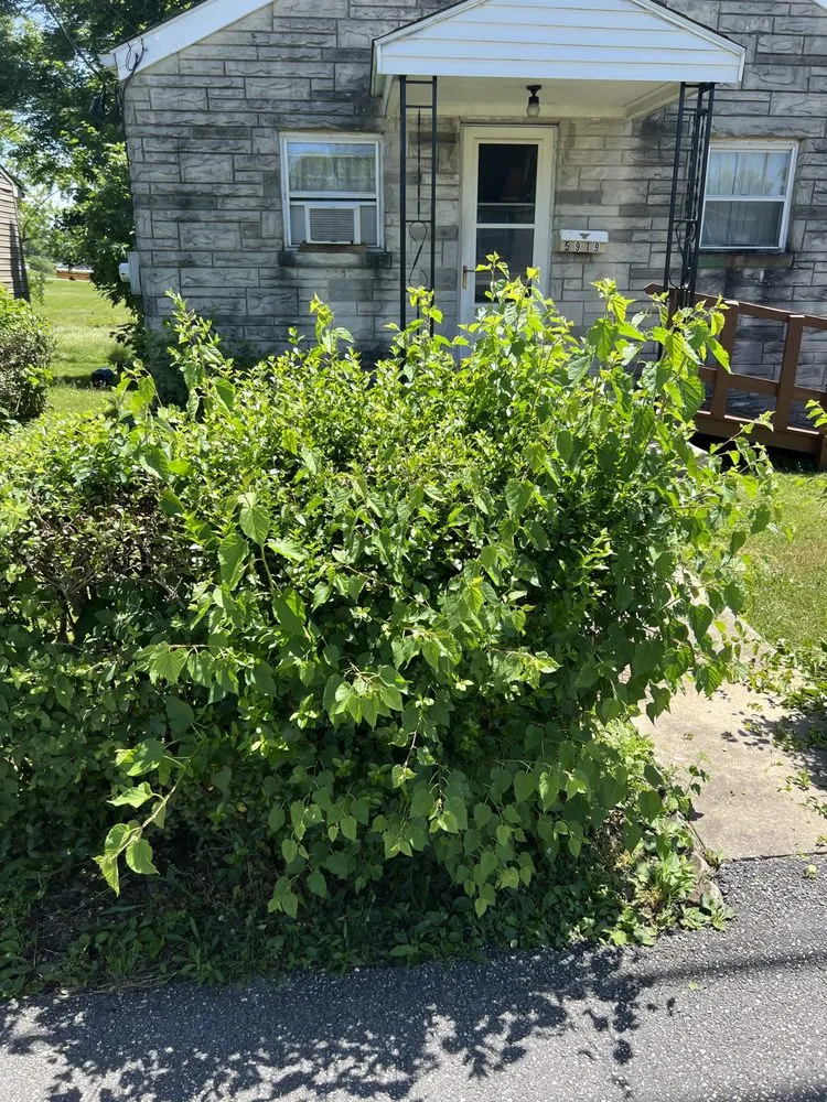 Expert outdoor landscaping for homes across Harrisburg, PA - 3bs Mowing