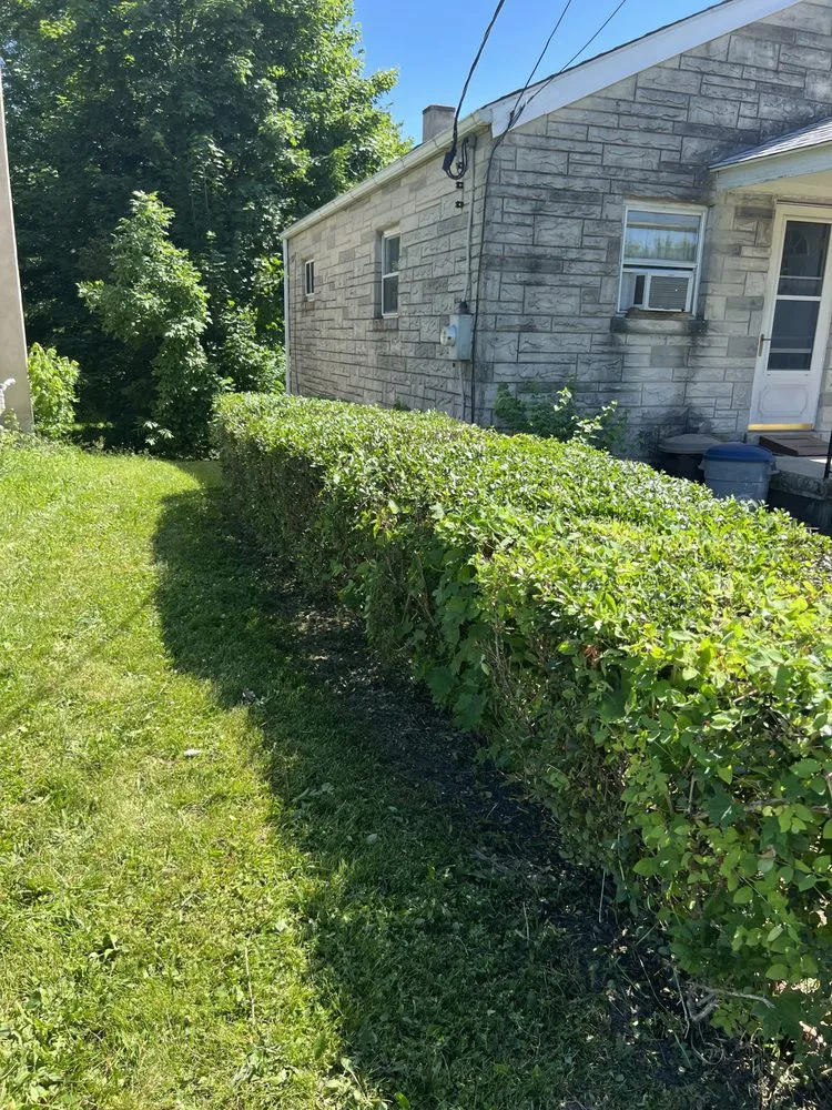 Trusted lawn care service for outdoor upgrades in Harrisburg, PA by 3bs Mowing