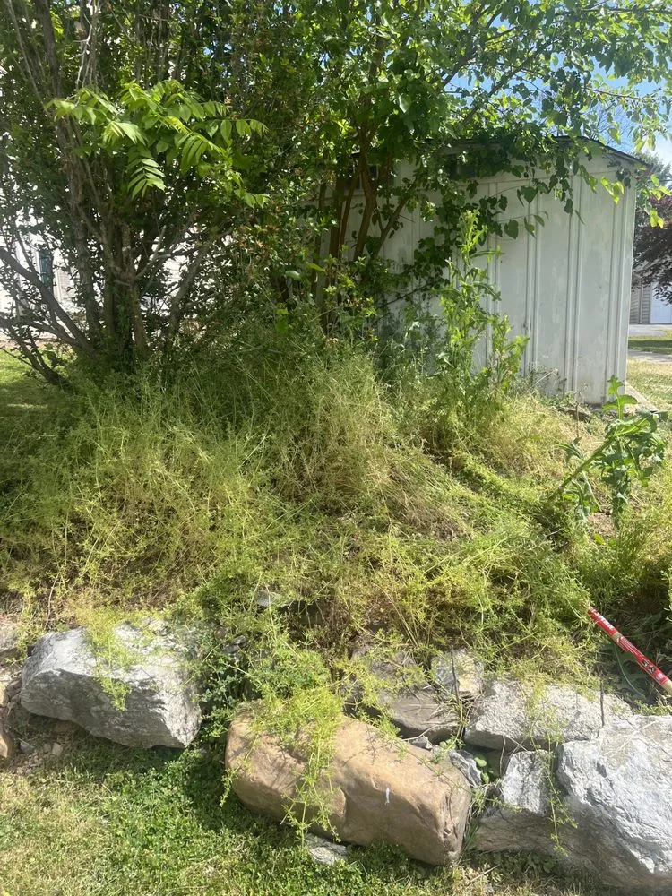 Reliable residential landscaping for residential properties across Harrisburg, PA - 3bs Mowing