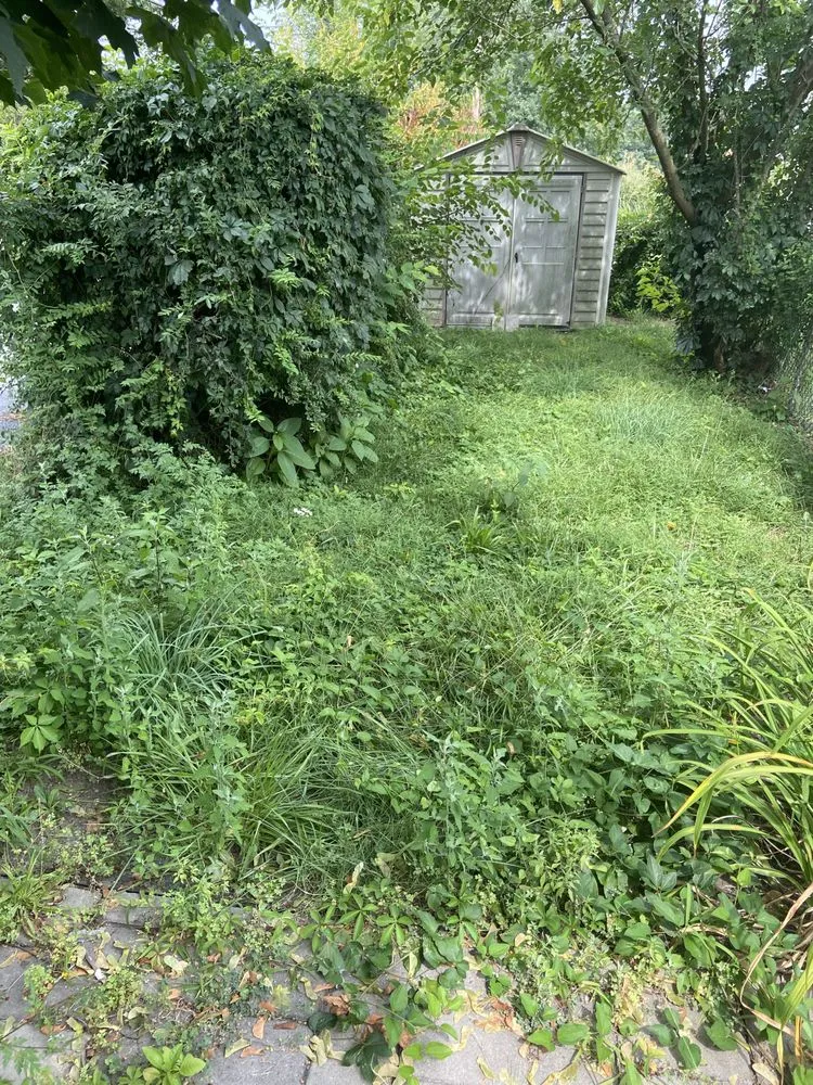 Affordable landscaping services in Harrisburg, PA by 3bs Mowing