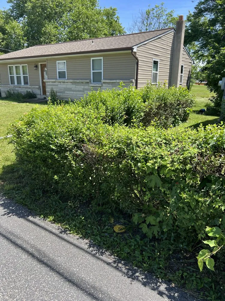 Professional yard cleanup service experts serving Harrisburg, PA - 3bs Mowing