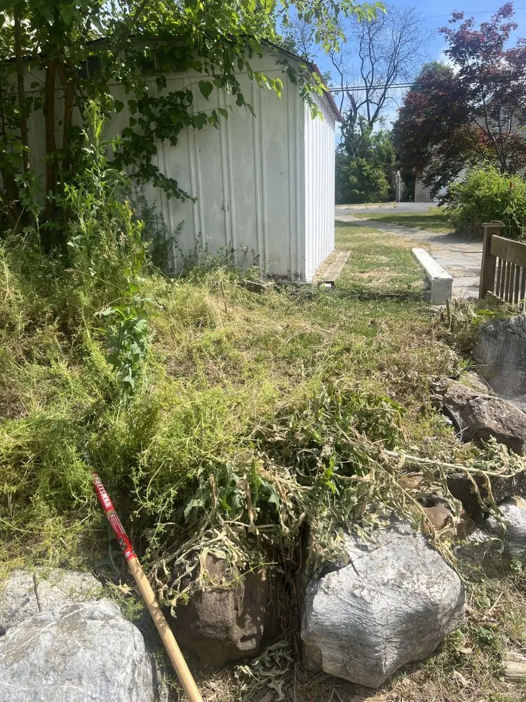 Local outdoor landscaping in Harrisburg, PA by 3bs Mowing