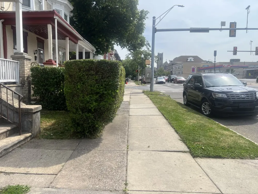 Professional yard cleanup service near you in Harrisburg, PA by 3bs Mowing