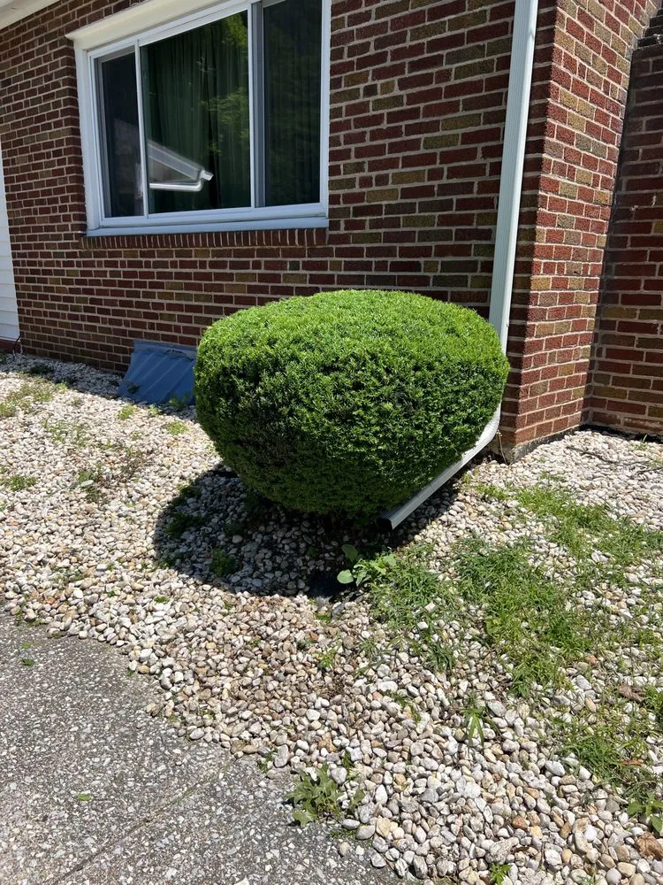 Affordable yard maintenance in Harrisburg, PA by 3bs Mowing