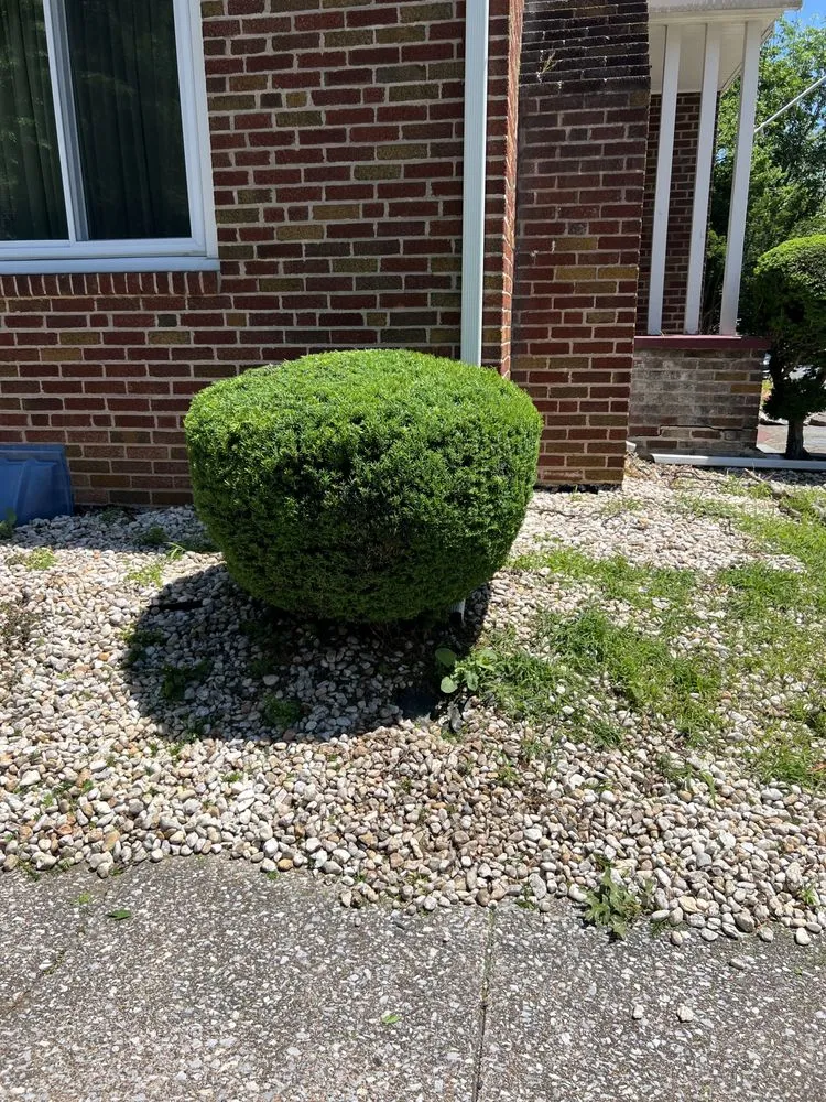 Local lawn mowing service with custom design in Harrisburg, PA by 3bs Mowing