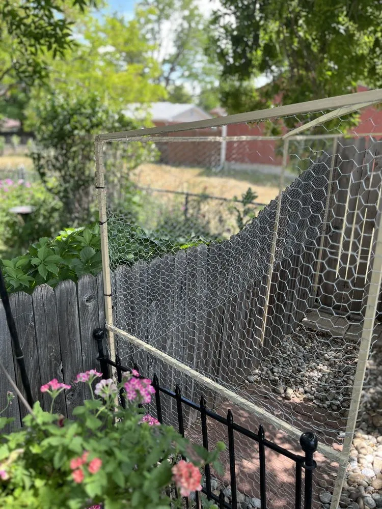 Professional lawn care service in Lakewood, CO by 3D Ecoscape & Design