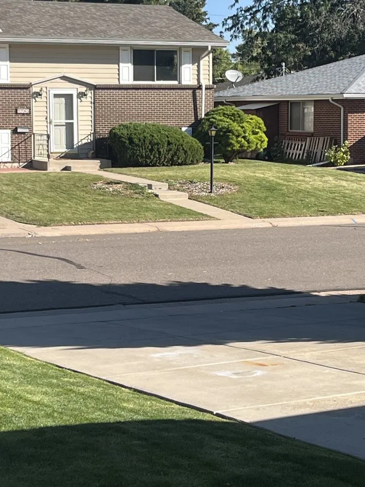 Top-rated landscaping services in Lakewood, CO by 3D Ecoscape & Design