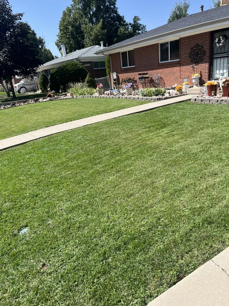 Trusted landscaping services in Lakewood, CO - 3D Ecoscape & Design