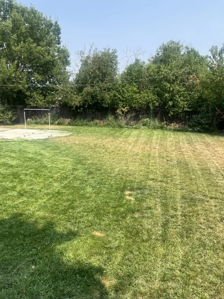Local yard maintenance with custom design in Lakewood, CO by 3D Ecoscape & Design