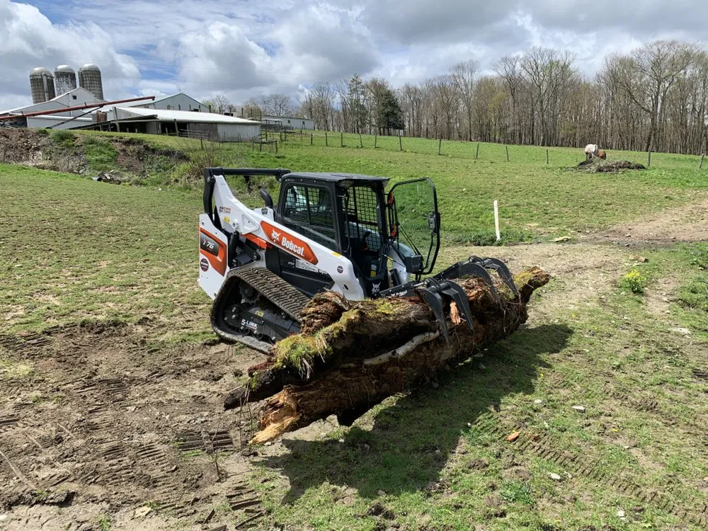 Reliable yard maintenance near you across Aurora, WV - 3D Land Management