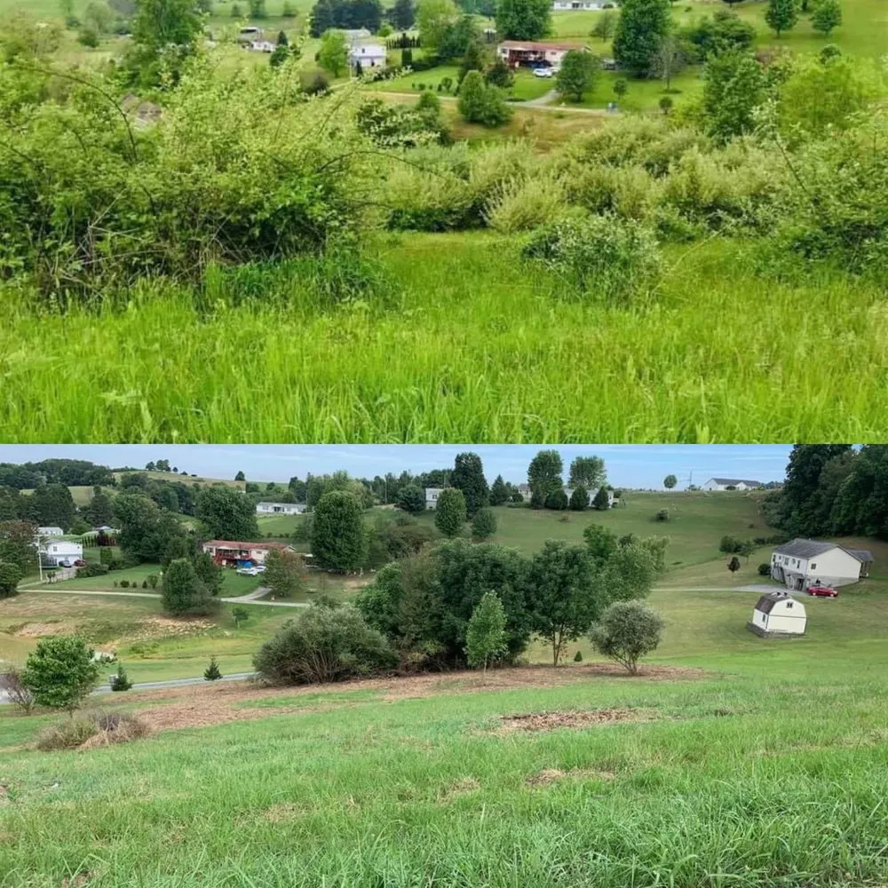 Local lawn care service in Aurora, WV - 3D Land Management