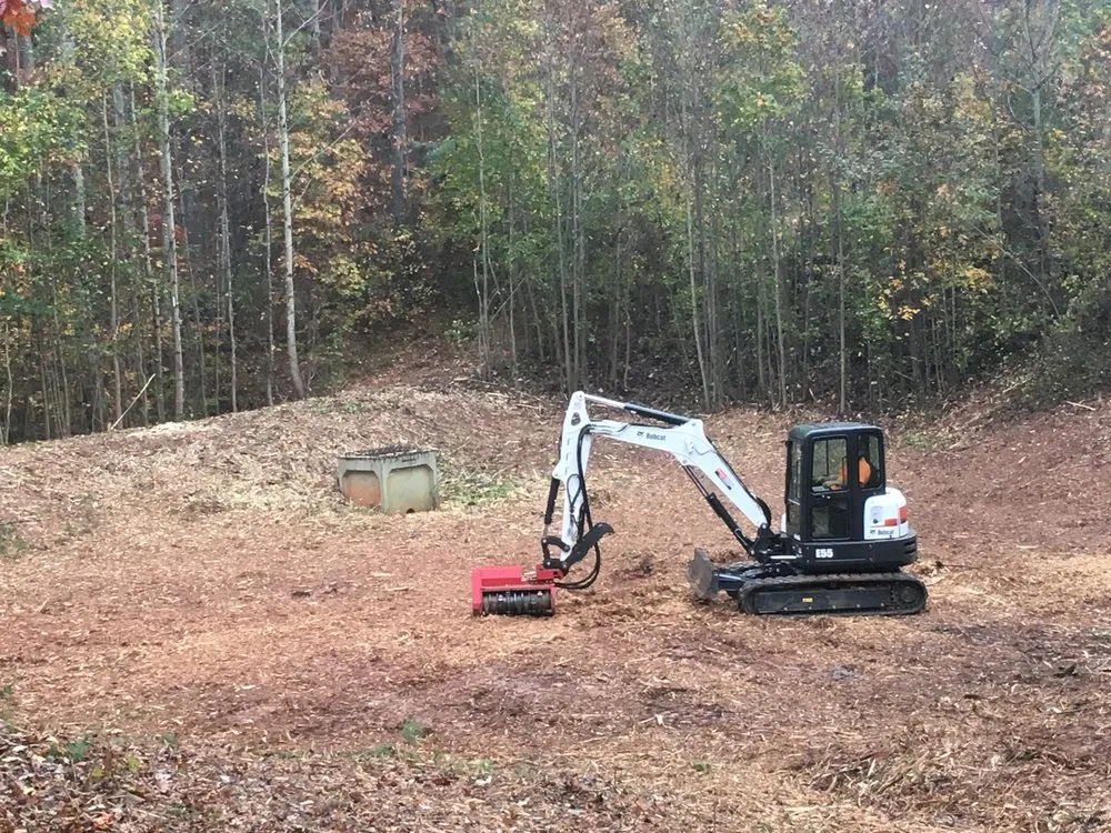 Expert yard maintenance experts serving Aurora, WV - 3D Land Management