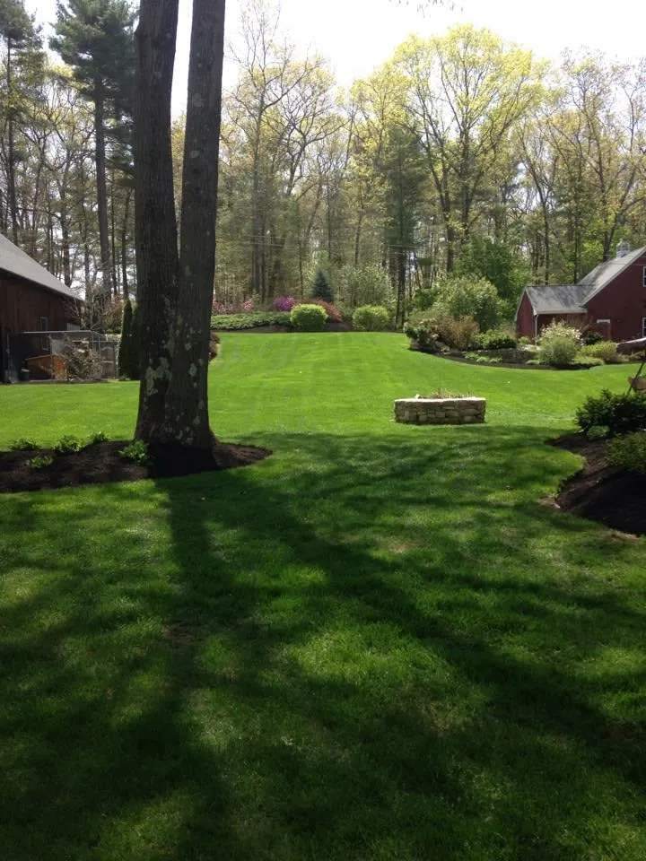 Professional lawn care service in North Smithfield, RI - 3D Lawn Care
