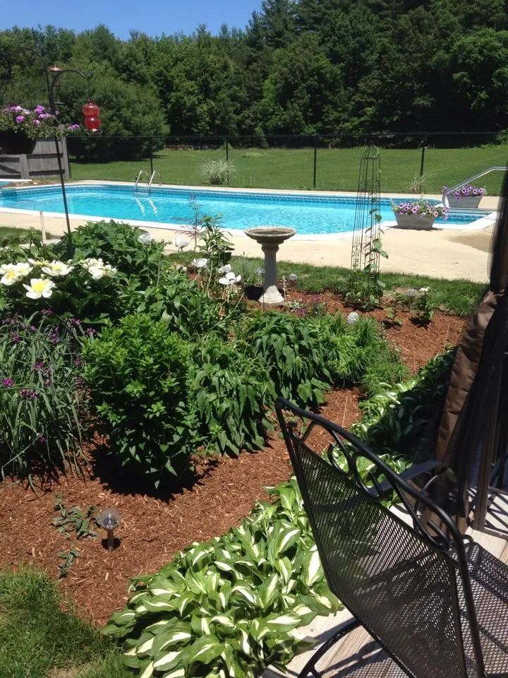 Affordable yard cleanup service in North Smithfield, RI - 3D Lawn Care