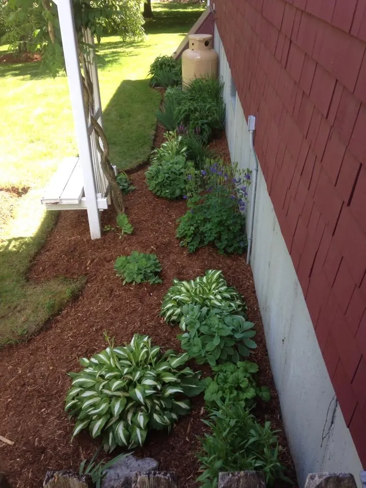 Local landscaping services for residential properties across North Smithfield, RI - 3D Lawn Care