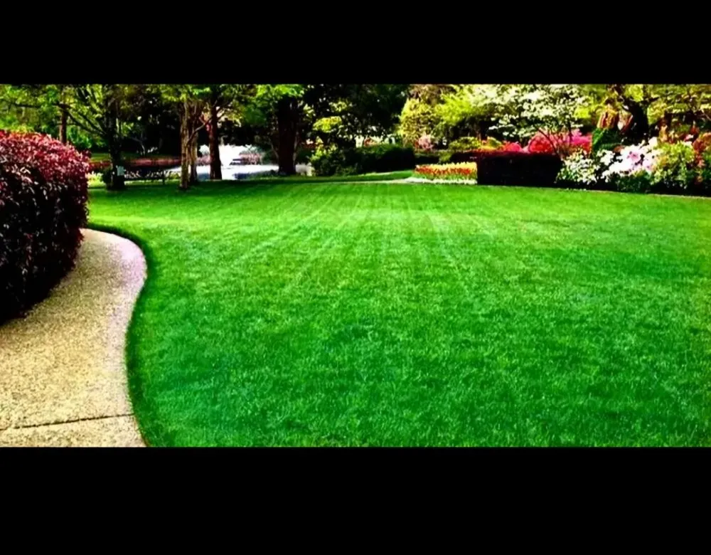 Professional lawn care service for residential properties in Spokane, WA by 3D Lawn Care
