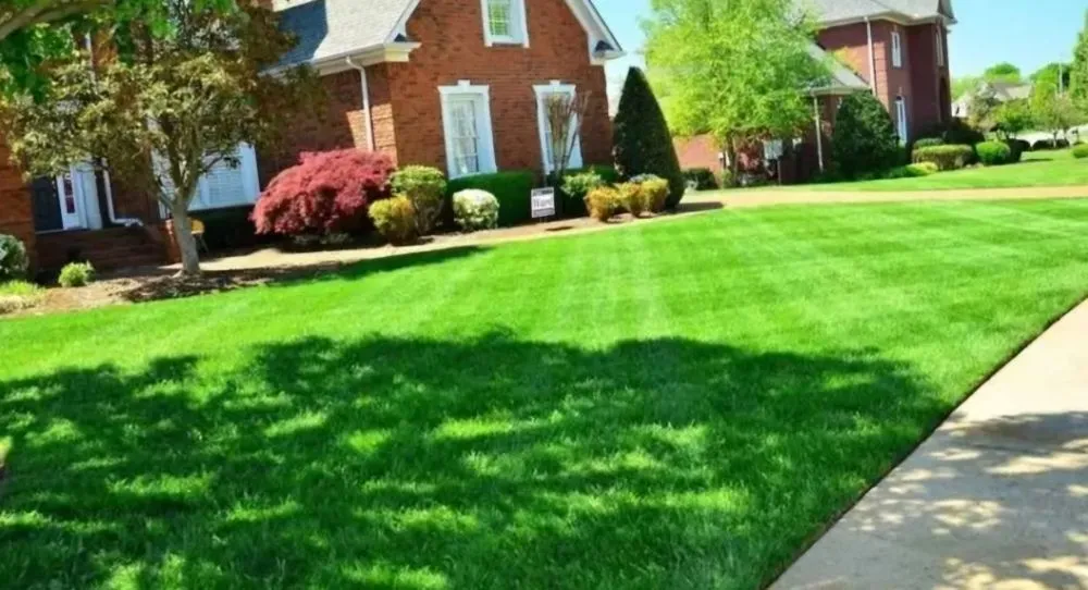 Expert garden landscaping experts serving Spokane, WA - 3D Lawn Care