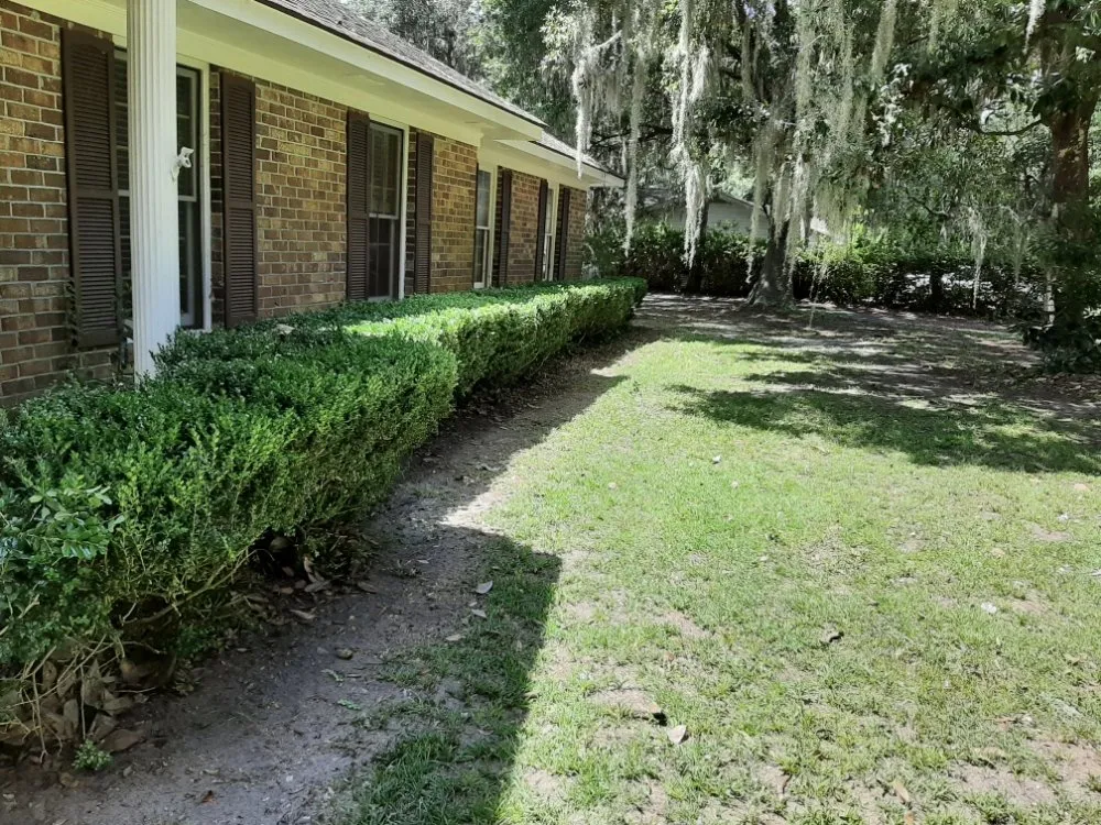 Local garden landscaping in Andrews, SC - 3D Lawncare