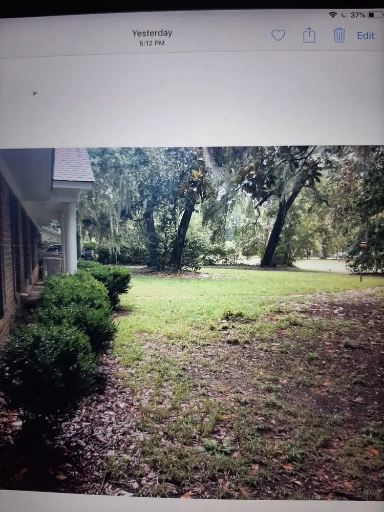Affordable residential landscaping for residential properties across Andrews, SC - 3D Lawncare