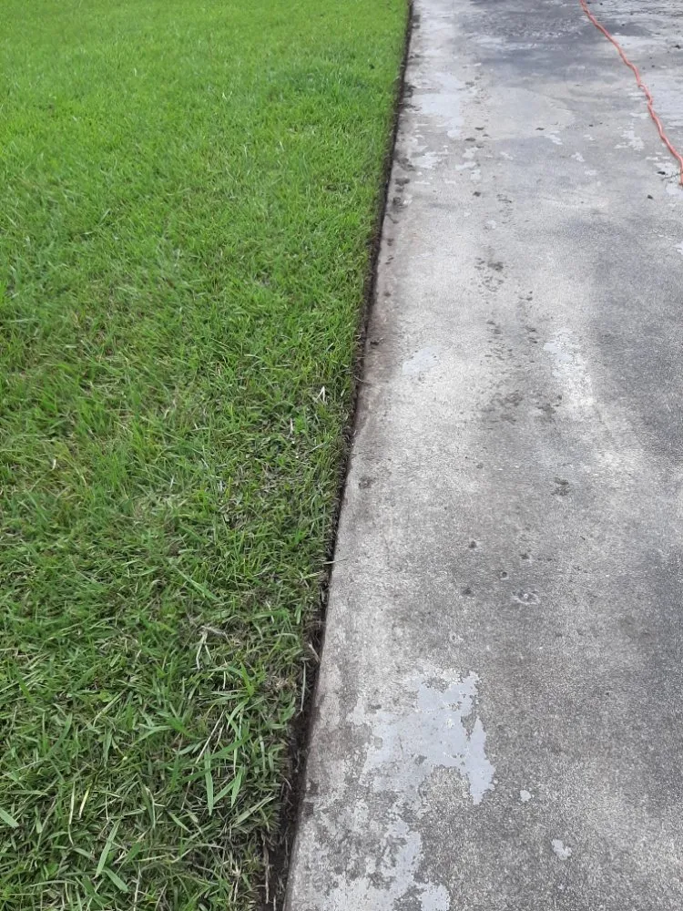 Trusted landscaping services in Andrews, SC by 3D Lawncare