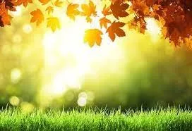 Expert garden landscaping near you in Merrimack, NH by 3D Lawncare