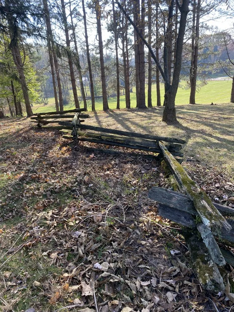 Custom yard cleanup service for beautiful yards across Mansfield, OH - 3D Mowing And Landscaping