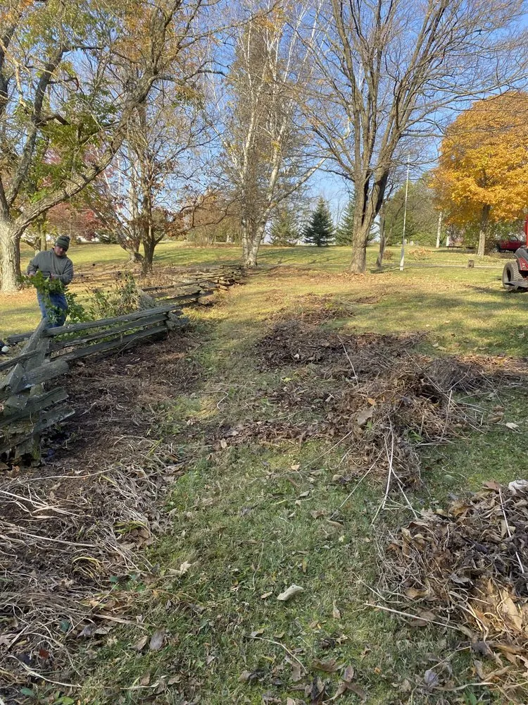 Affordable yard cleanup service for year-round maintenance across Mansfield, OH - 3D Mowing And Landscaping