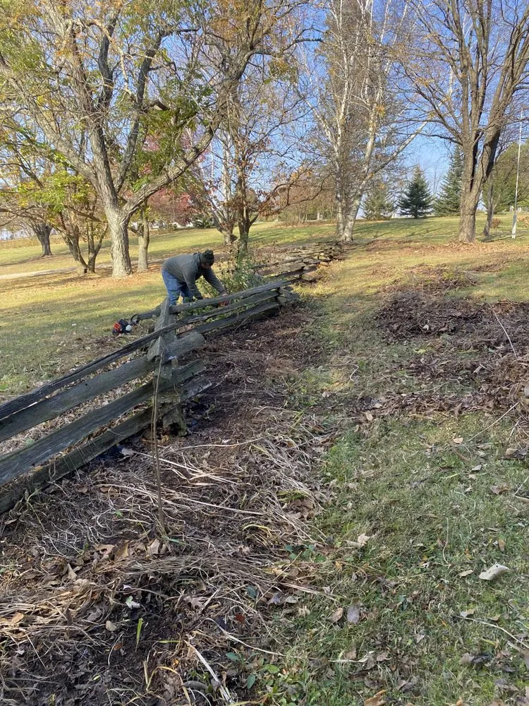Custom landscape installation for outdoor upgrades across Mansfield, OH - 3D Mowing And Landscaping