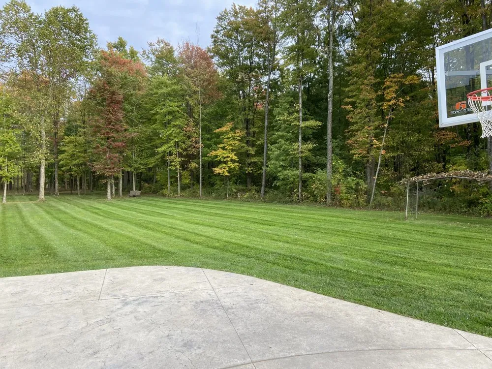 Trusted yard cleanup service in Mansfield, OH - 3D Mowing And Landscaping