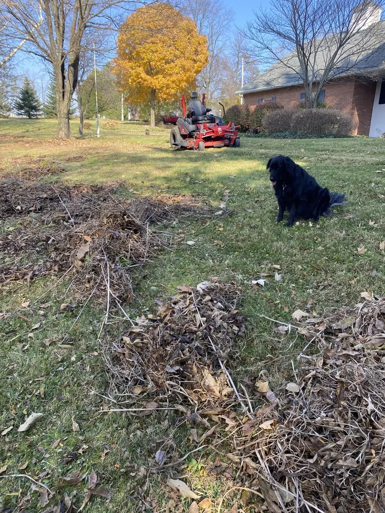 Professional yard maintenance experts serving Mansfield, OH - 3D Mowing And Landscaping