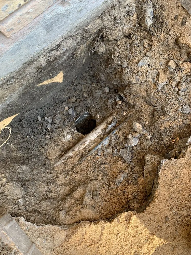 Expert landscape design in Katy, TX by 3D Pools and Landscape