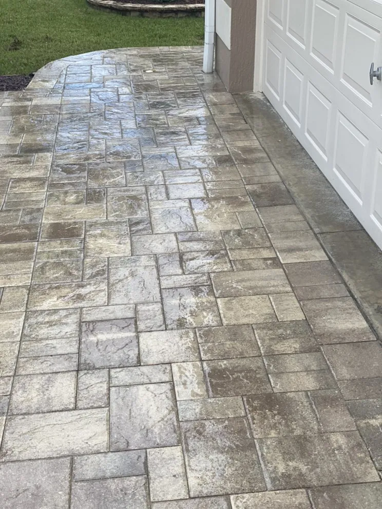 Expert landscape design in Howie-In-The-Hills, FL - 3D Property Solutions
