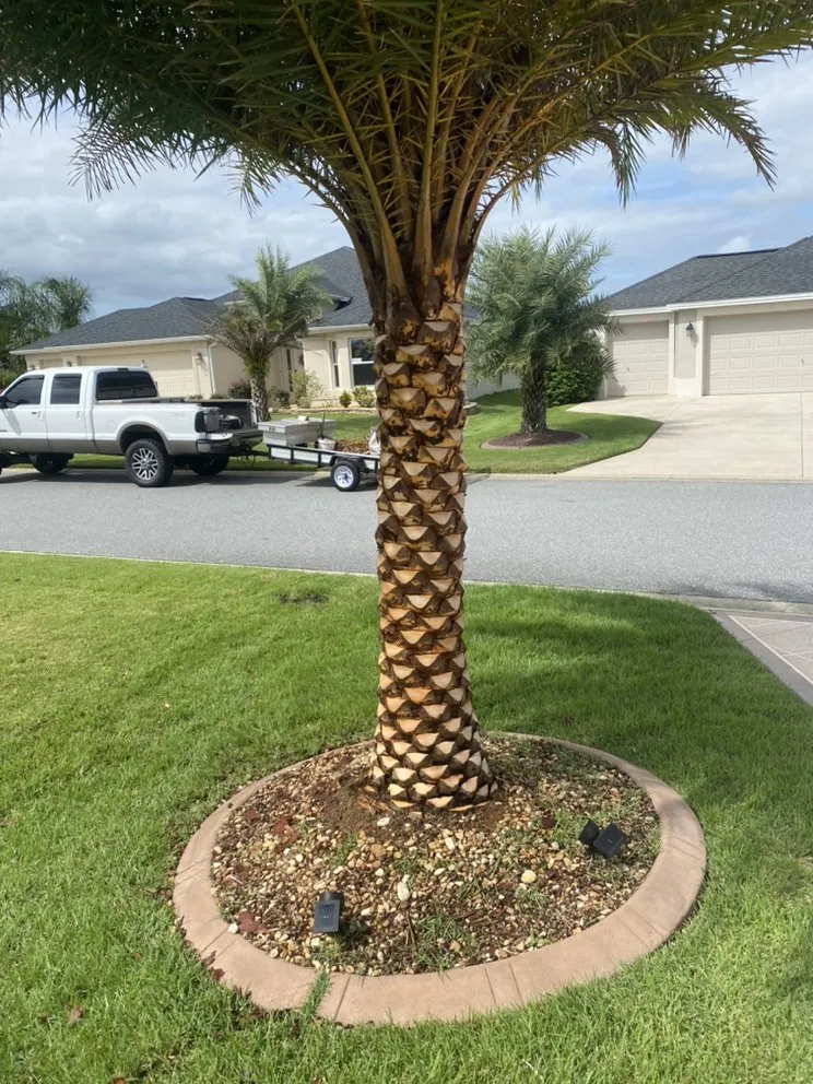 Local yard maintenance in Howie-In-The-Hills, FL - 3D Property Solutions