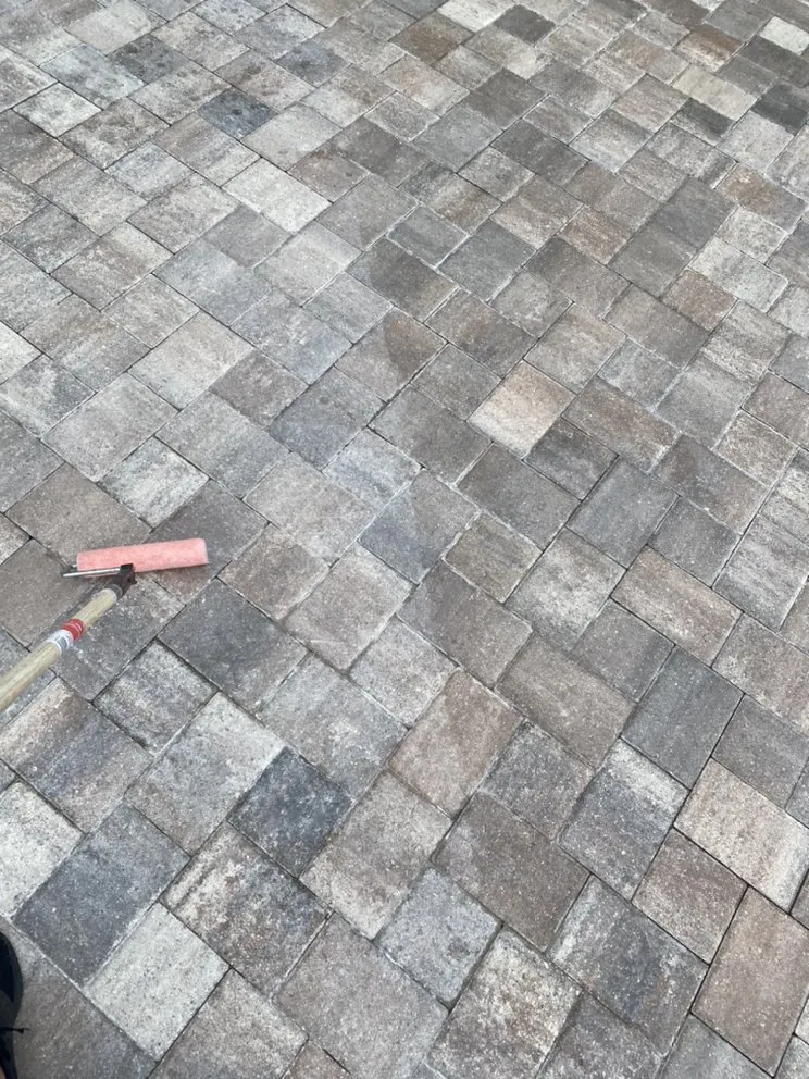 Expert yard maintenance in Howie-In-The-Hills, FL by 3D Property Solutions
