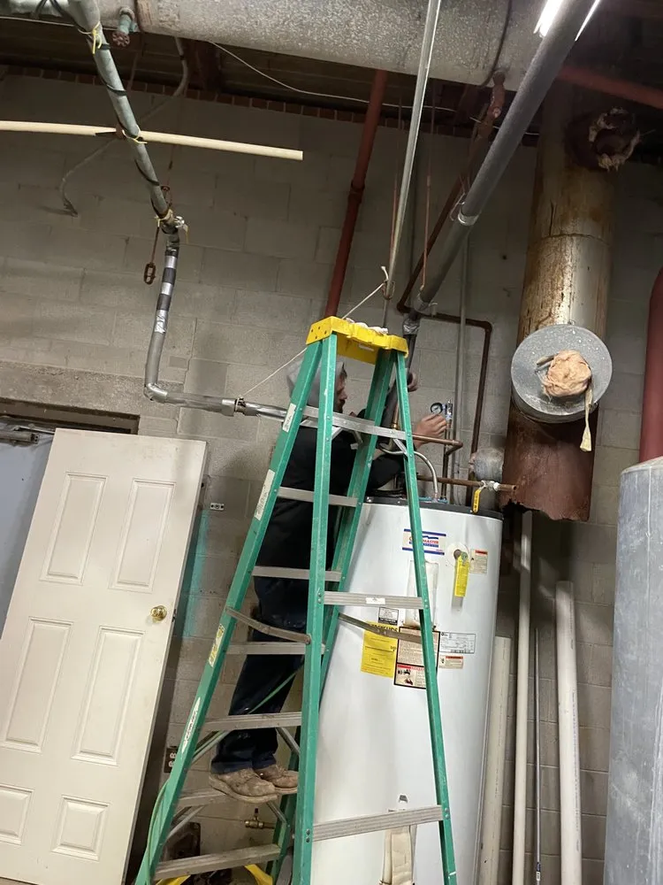 Expert yard cleanup service in Whitehall, OH by 3D Vizionz