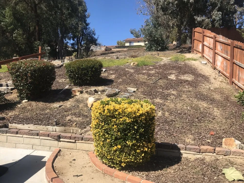 Affordable yard maintenance in Corona, CA - 3DAgronomics