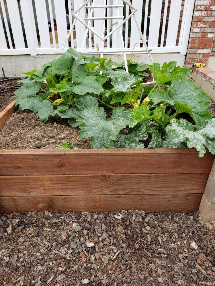 Affordable outdoor landscaping in Corona, CA by 3DAgronomics