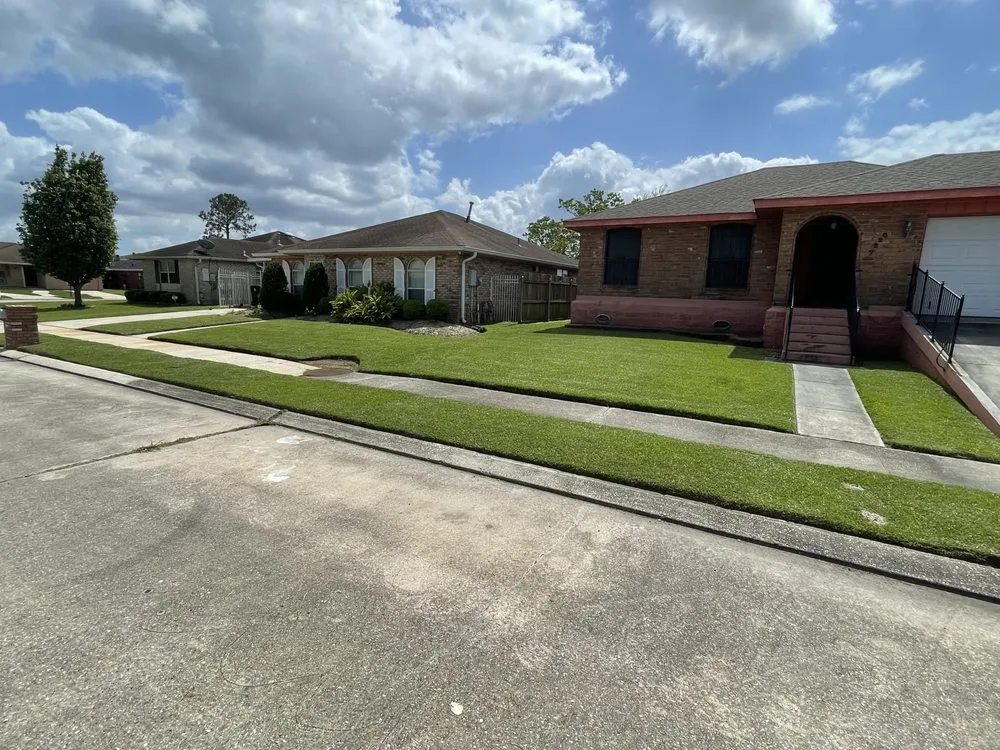 Custom yard cleanup service experts serving New Orleans, LA - 3DBLandscaping