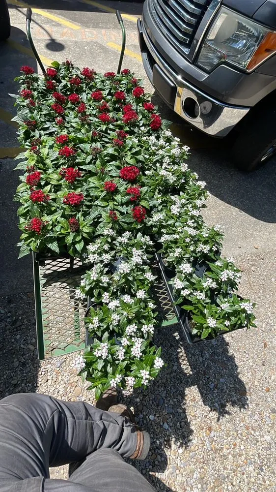 Top-rated landscaping services for outdoor upgrades across New Orleans, LA - 3DBLandscaping