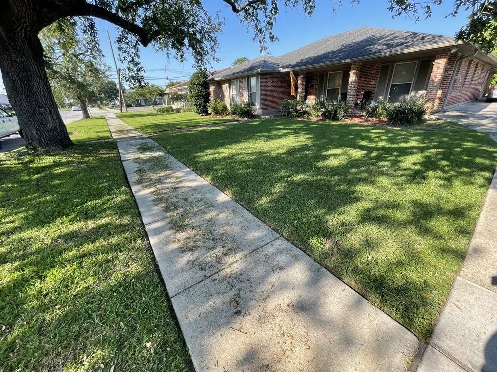 Professional landscape installation in New Orleans, LA - 3DBLandscaping