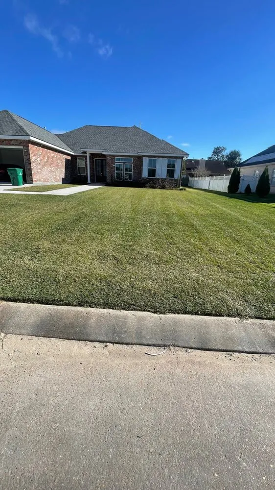 Expert yard maintenance in New Orleans, LA - 3DBLandscaping