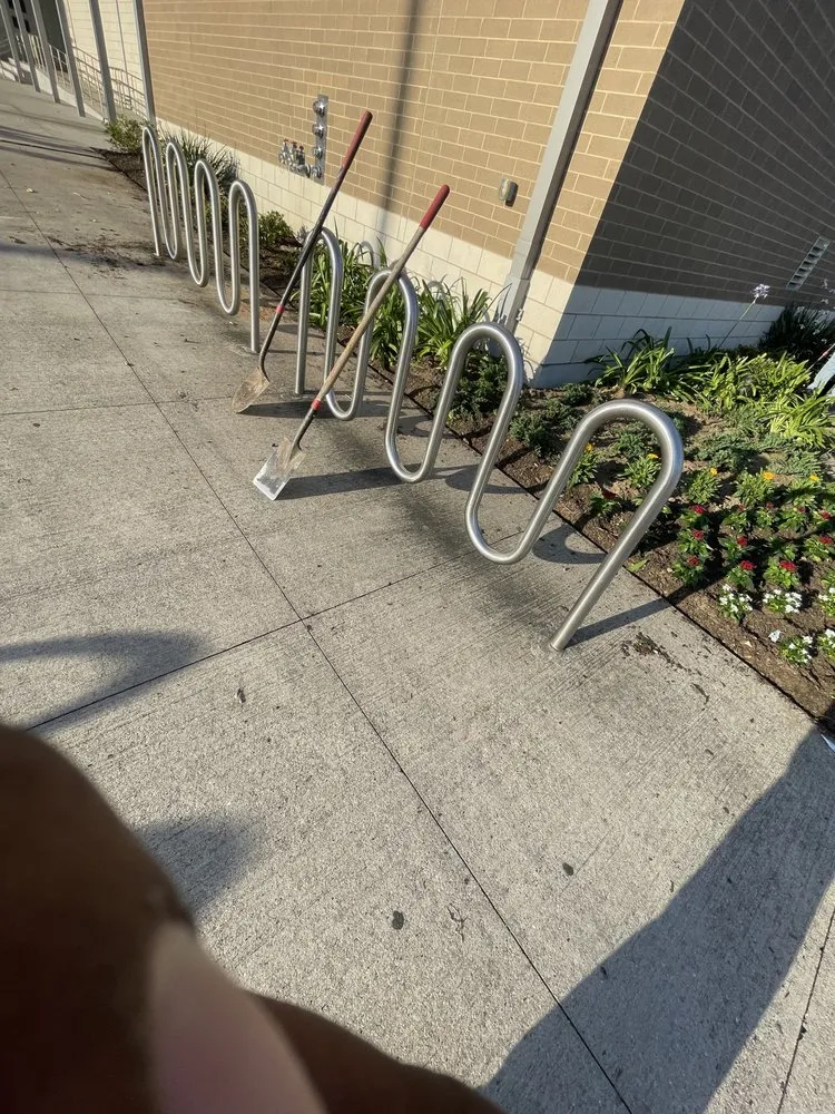 Reliable yard maintenance in New Orleans, LA - 3DBLandscaping