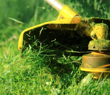 Top-rated landscaping services for year-round maintenance in Batavia, IL by 3D'S Landscaping