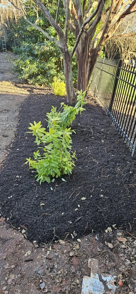 Reliable residential landscaping experts serving Smithfield, NC - 3D's Landscaping