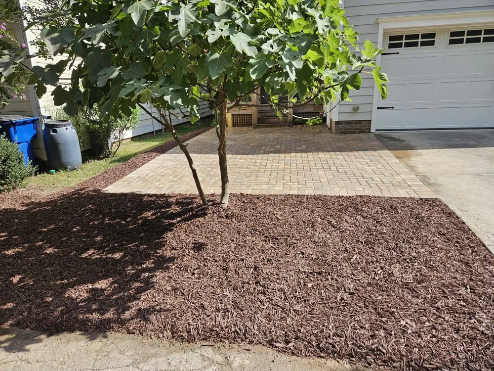 Top-rated lawn care service in Smithfield, NC - 3D's Landscaping