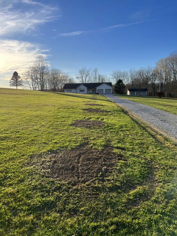 Top-rated landscape installation in Piedmont, OH by 3E Services