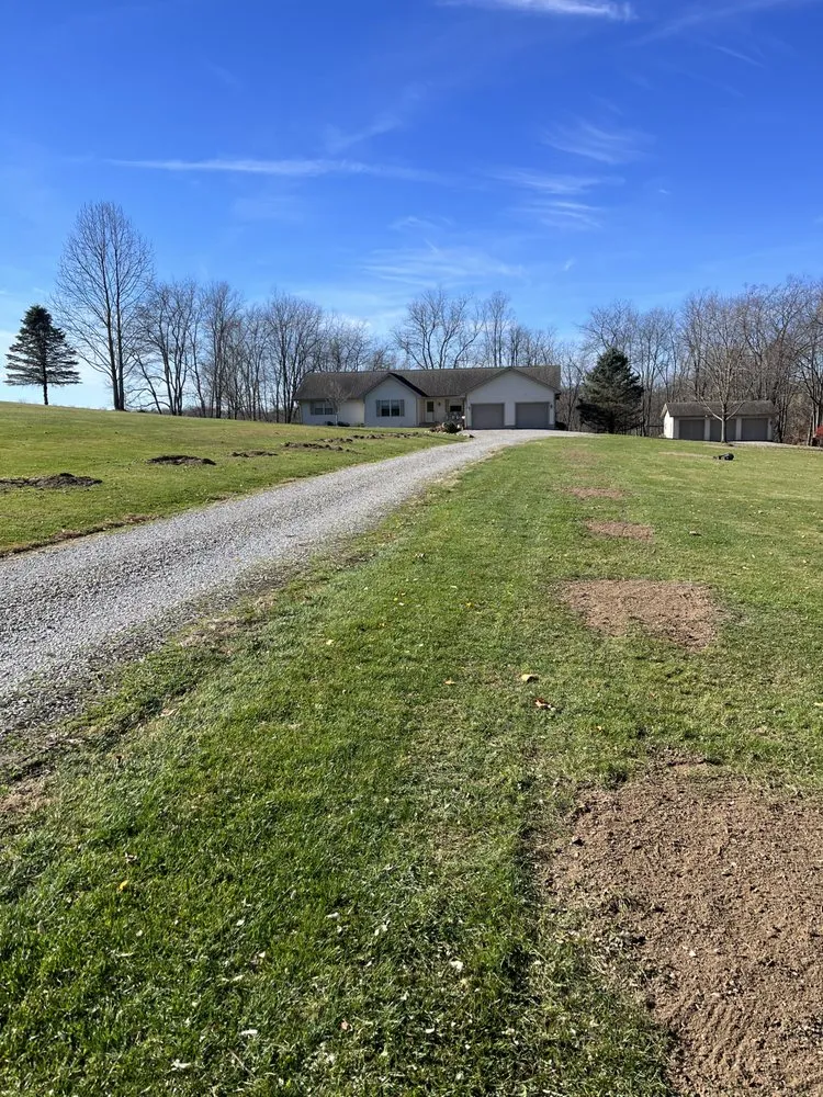 Expert yard cleanup service in Piedmont, OH by 3E Services