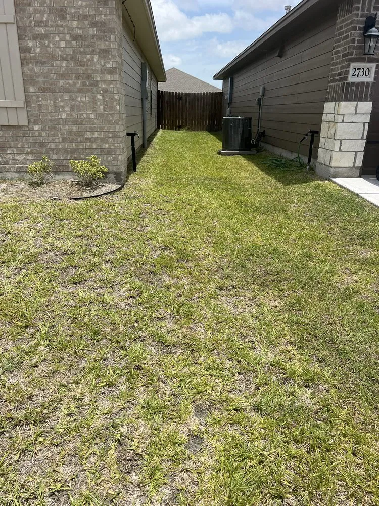 Custom yard cleanup service in Corpus Christi, TX - 3G Lawn Services
