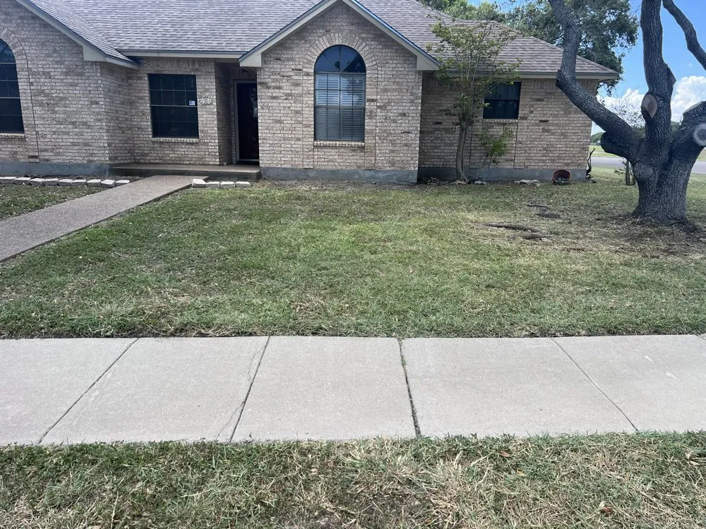 Reliable landscaping services near you in Corpus Christi, TX by 3G Lawn Services
